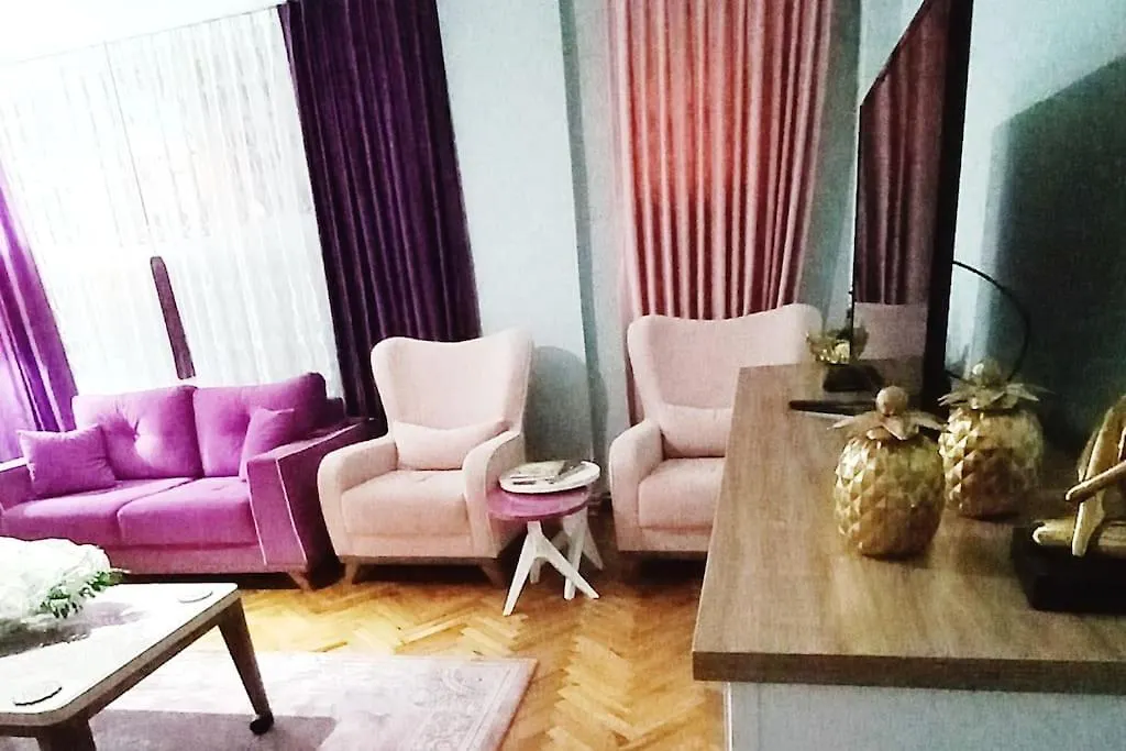 Grand Appartement 2+1 Istanbul Apartment