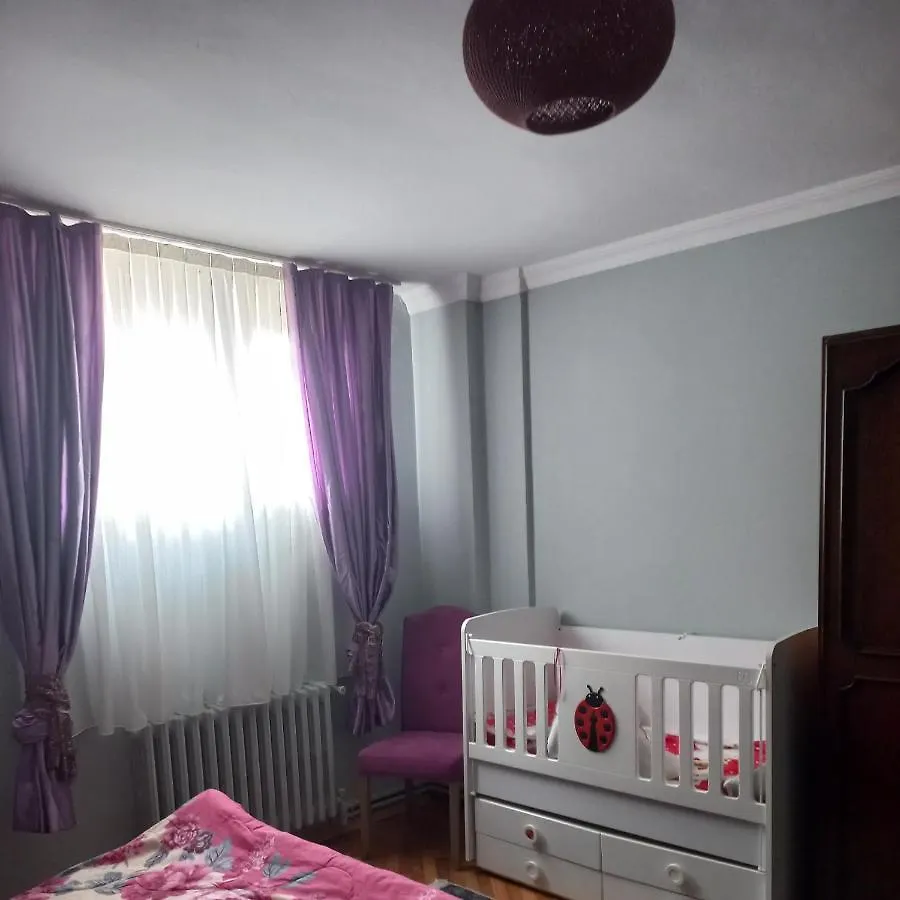 Grand Appartement 2+1 Istanbul Turkey