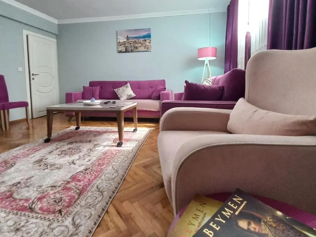 Grand Appartement 2+1 Istanbul Apartment