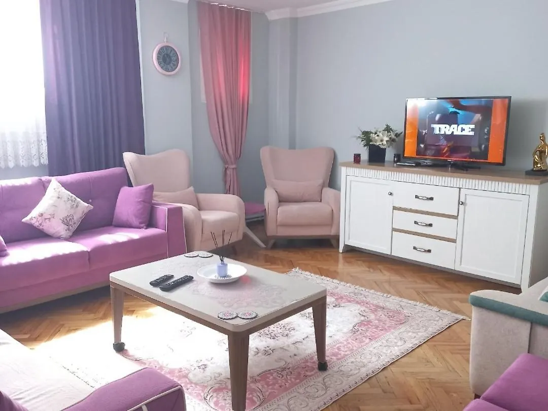 Grand Appartement 2+1 Istanbul