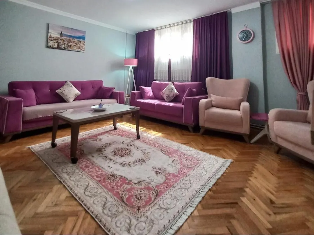 Grand Appartement 2+1 Istanbul