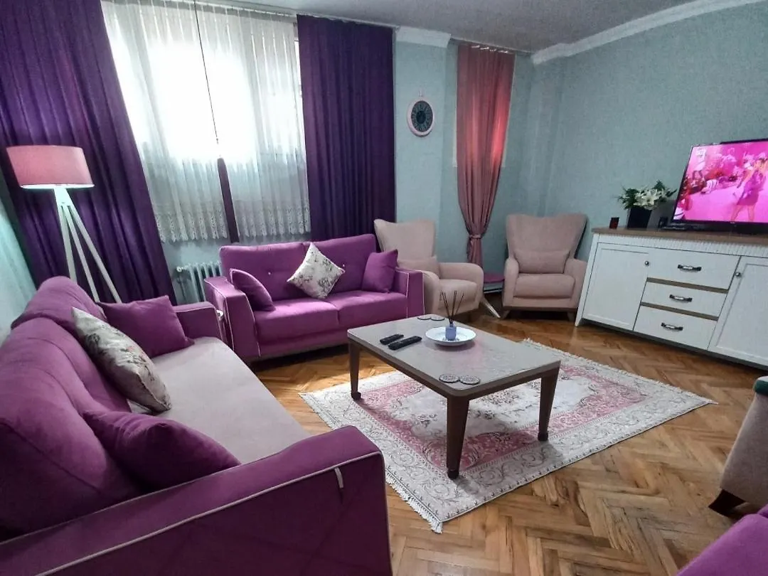 Grand Appartement 2+1 location